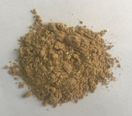 Probiotik Enzim Senyawa Untuk Meningkatkan Pemanfaatan Pakan Campuran Aditif Pakan Enzymolysin Nutrisi Perairan